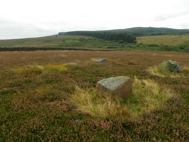 Whinny Hill Stone circle over looks Coalhouses Tarn.