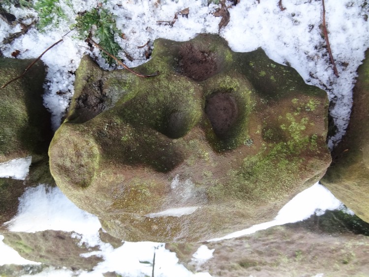 Alnmouth Wall Rock 9