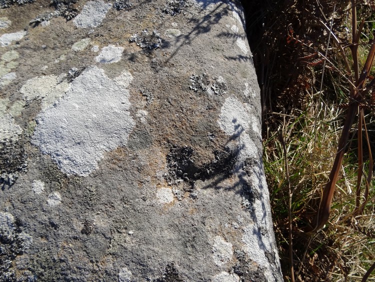 Possible cup-mark near the edge of Beanley Moor 2 boulder (photo taken on March 2017).
