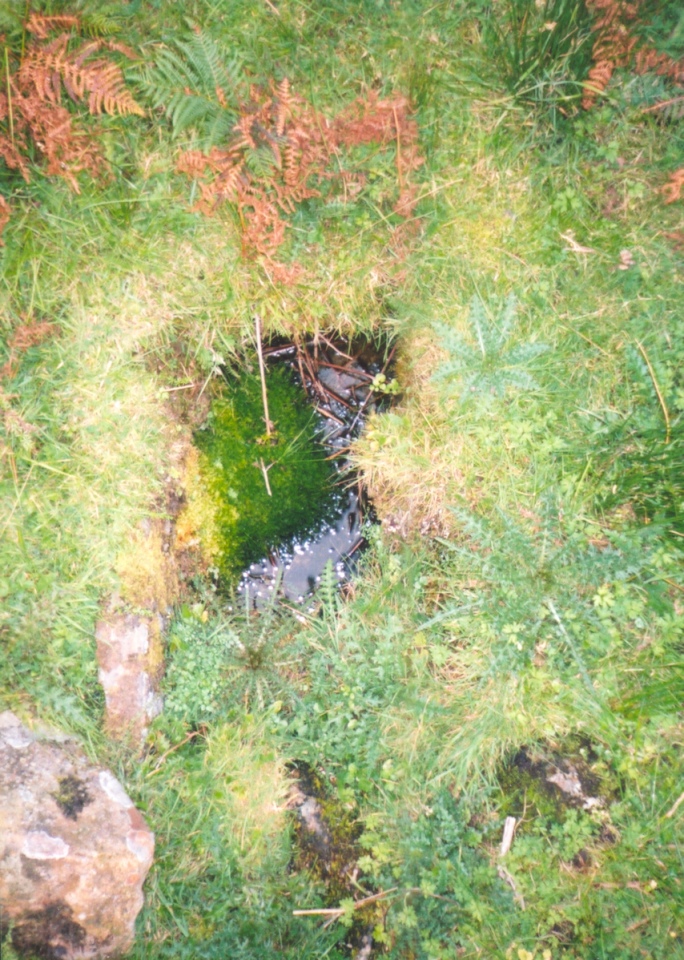 The cist in front of the Bold Venture mine, as found in the late 1990s. This is what it'll look like now and it's easily missed.