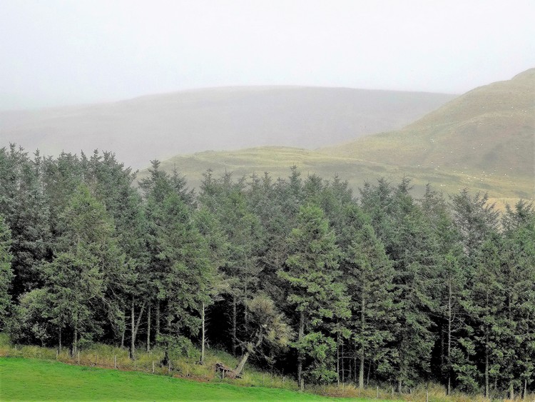 Clennell Hill