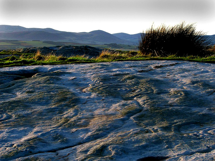 Cup and ring markings on Chatton moor, Northumberland.
Taken at sunset, November 2005, to throw the carvings into sharper relief.