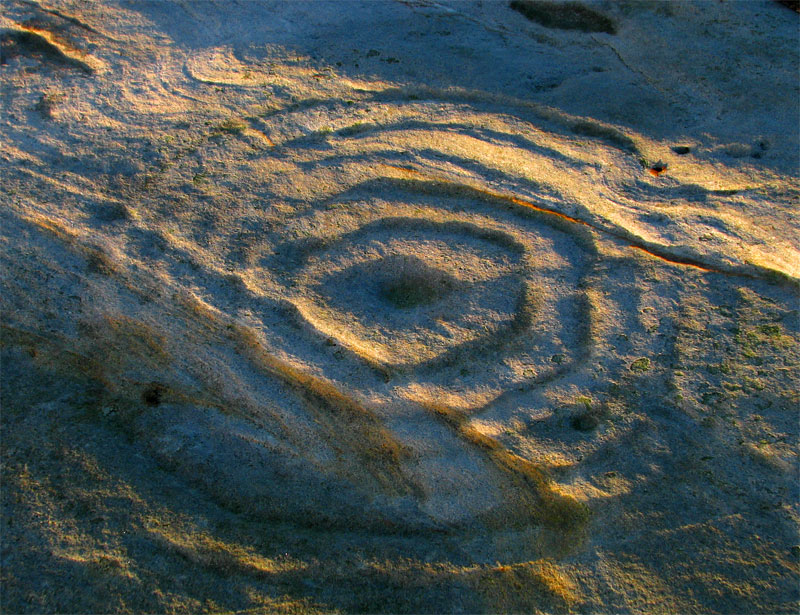 Chatton park, cup and ring marking, about 2 feet in diameter.