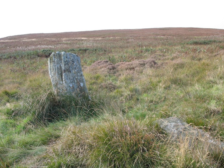 Doddington Moor