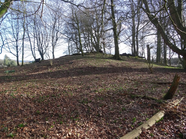 Eglingham Hall barrow seen the the N-NW (photo taken on March 2017).