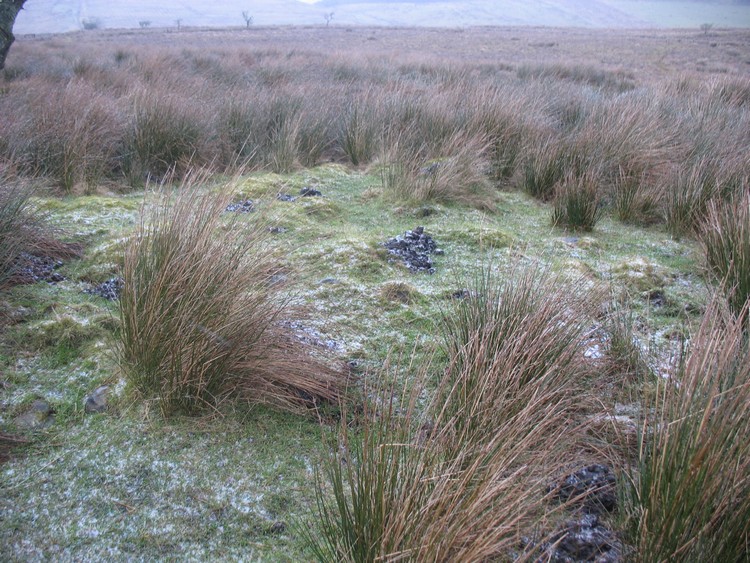 Fenwick Fell Cairn