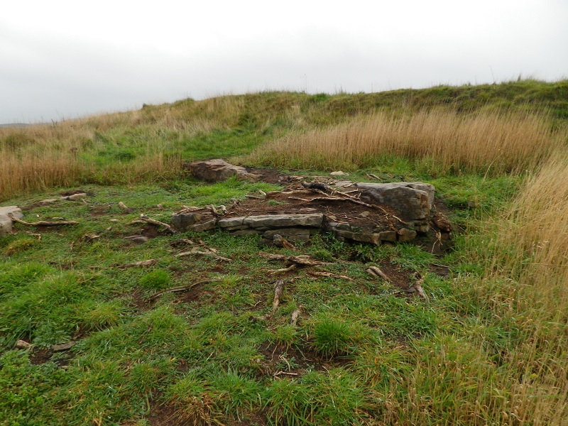 Rocks at Isabella's Mount Camp.