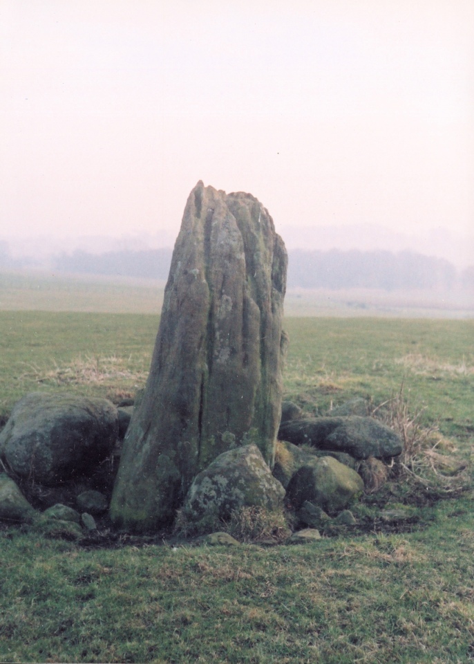 The grooves in the stone - not uncommon in ancient upright stones - are carved and have been softened by erosion. In a way they provide a counterpoint to cup-and-ring art and are design features. This photo taken mid-2000s.