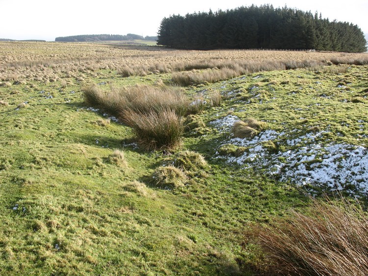 South Carrawbrough Enclosure