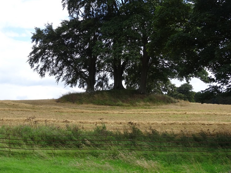 Swinburne Cairn