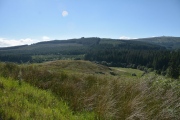 Gibbie's Knowe (Kielder) - PID:167105