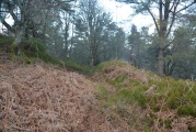 Callaly Castle Hillfort