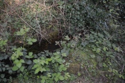 Croft's Well (Horsley) - PID:165050