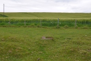 St Mary's Well (New Etal) - PID:198481