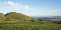 Humbleton Hill - PID:131761