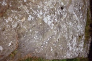 Roughting Linn Rock Art - PID:2344