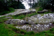 Roughting Linn Rock Art - PID:18348