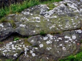 Roughting Linn Rock Art - PID:18350