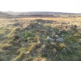 Rosebrough Moor Round Cairn 1 - PID:115829