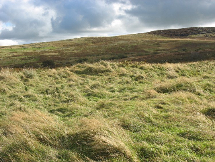 Whittondean Cairn A