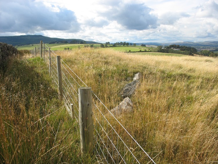 Whittondean Cairn C