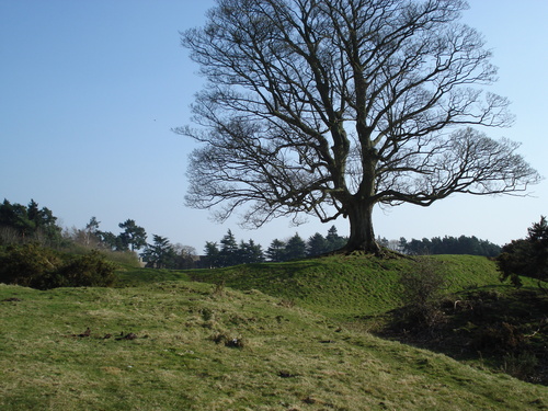 Lower Coxwell Camp