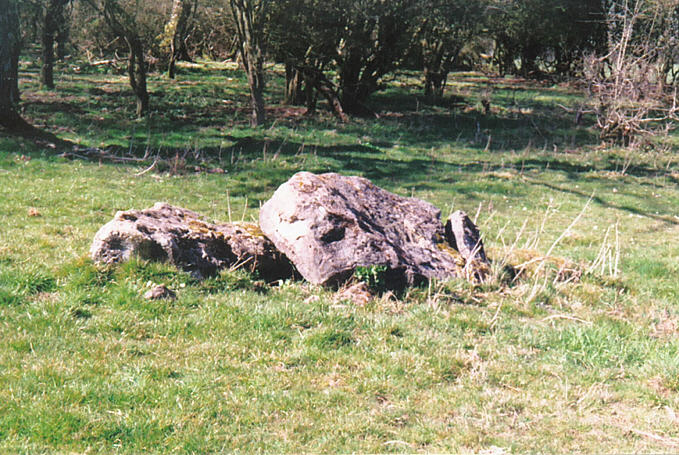 Goose Stones