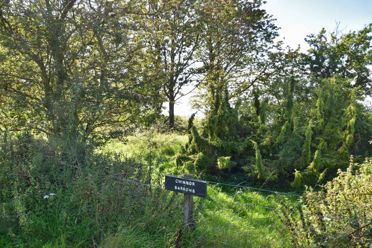 The sign on the fence confirms these are the Chinnor Hill Barrows. Although covered in vegetation their shape and form can be made out once they have been located.