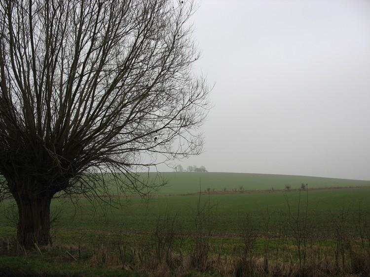 Cholsey Hill Camp