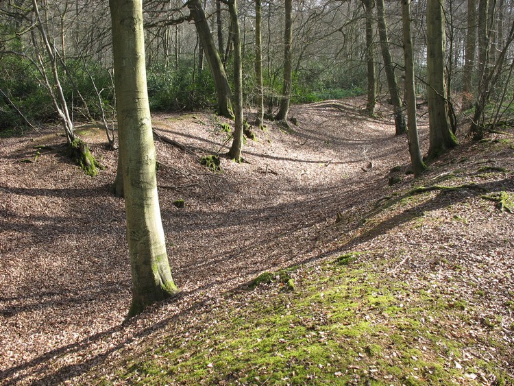 Wyfold Castle