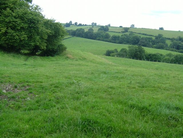 Earthworks within the bailey.