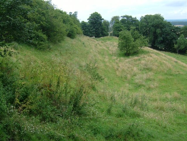 Part of the NE bank. Taken whilst struggling to locate the footpath, this must have been part of the post-Norman conquest bailey, but is it also part of the Iron Age fort?