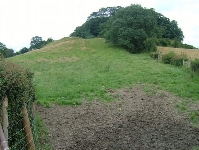 Another shot from the road of the SW end of the earthworks. The motte is some way inside the woods.