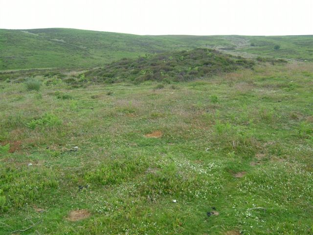 Wildmoor Bowl Barrow