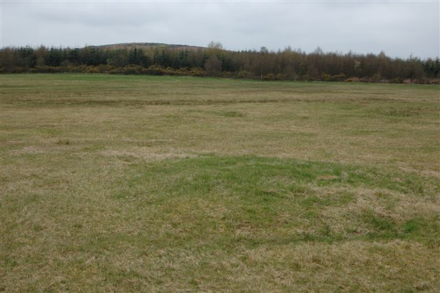 The two heavily ploughed barrows adjacent to the Hoarstones. 