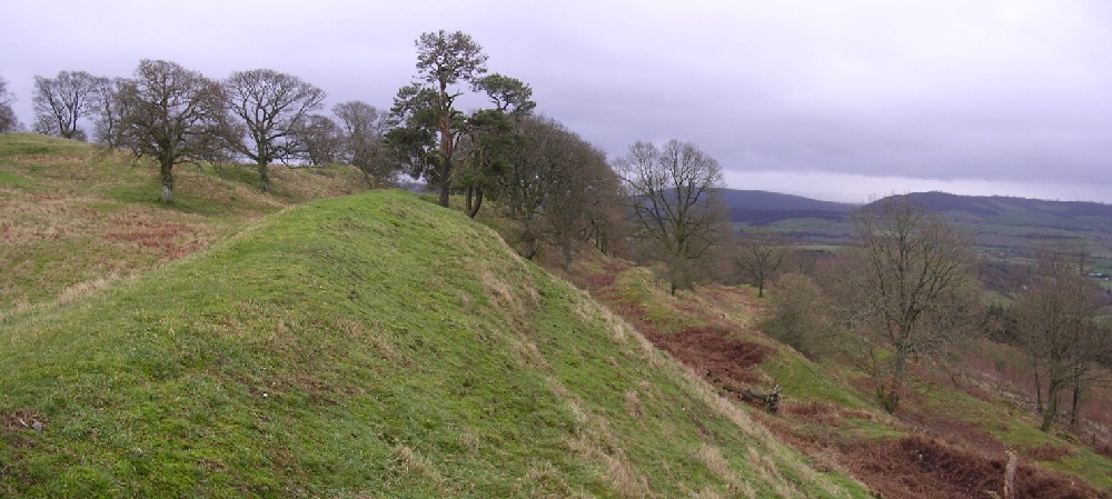 Burrow Hill Camp (Shropshire)