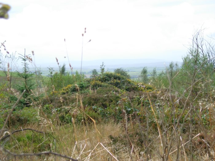 This dyke is more overgrown than its neighbour further west, but still remains impressive with a total length in excess of 2,000 feet.