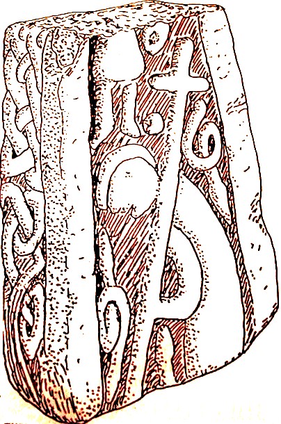 Illustration of 'The Leek Calvary Stone' or 'The Tree of Life Stone' in St Edward's church. Carved on this 10th century Anglian cross fragment is a figure carrying a long, cross-shaped weapon to kill the serpent. Or the figure could be Christ carrying his cross. On the edge there is some knotwork. [Drawing/illustration by Harry M. Ball].