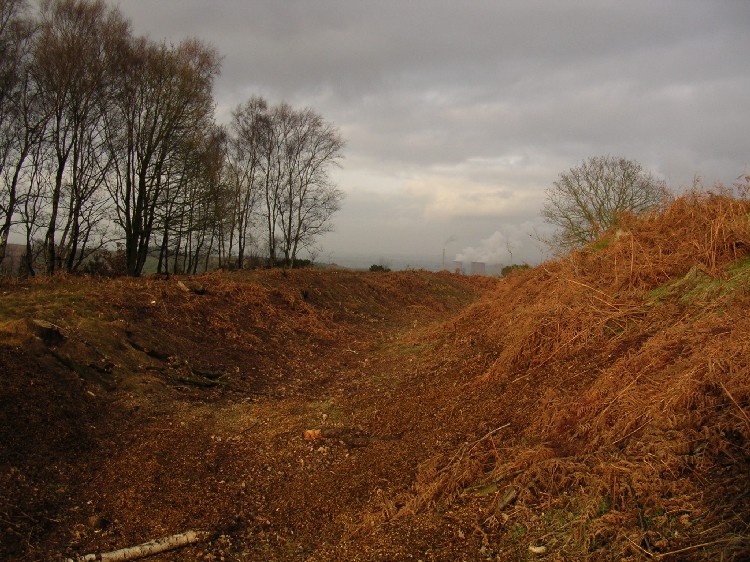 Castle Ring (Staffordshire)