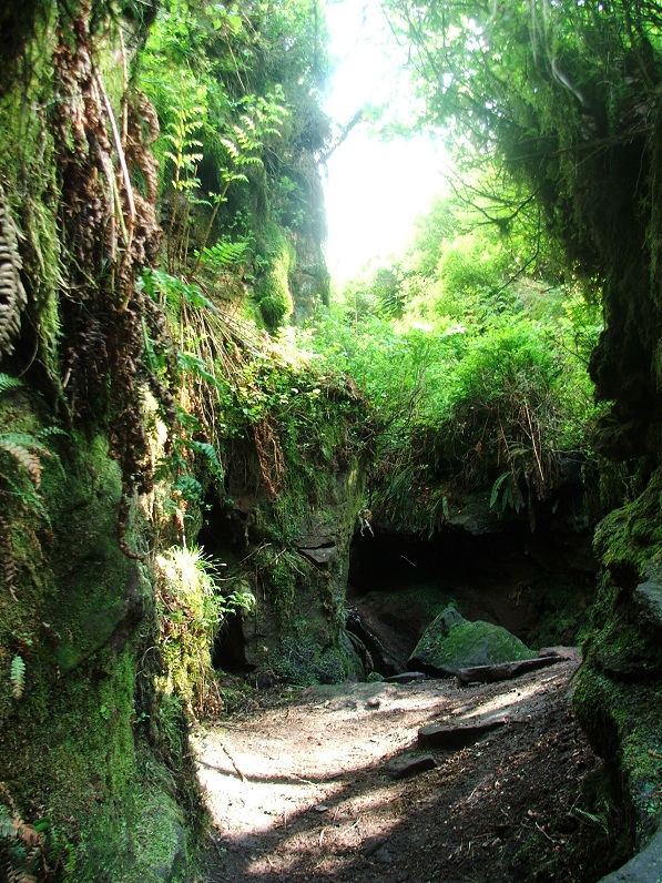 At one of the side channels of the gorge it ends in this open air light box where ferns abound