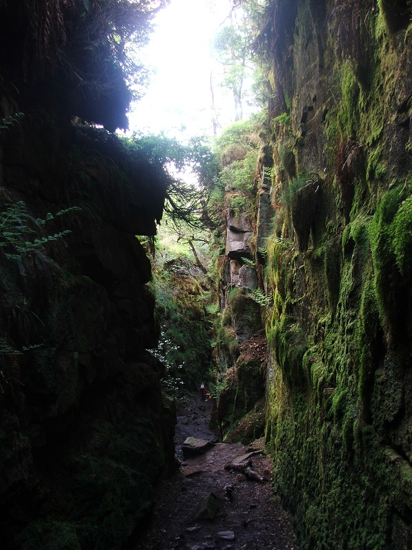 A darkened corner of the gorge.