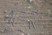 Lake Hoton Petroglyphs - PID:75913