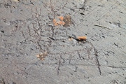 Lake Hoton Petroglyphs - PID:75909