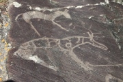 Shiveet Mountain Petroglyphs - PID:75795