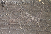 Lake Hoton Petroglyphs - PID:75907