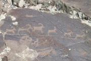 Shiveet Mountain Petroglyphs - PID:75797
