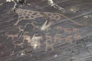 Shiveet Mountain Petroglyphs - PID:75798