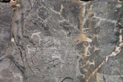 Mt. Shiveet altar stone with petroglyphs - PID:75869