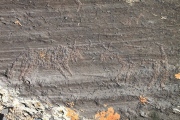 Lake Hoton Petroglyphs - PID:75917
