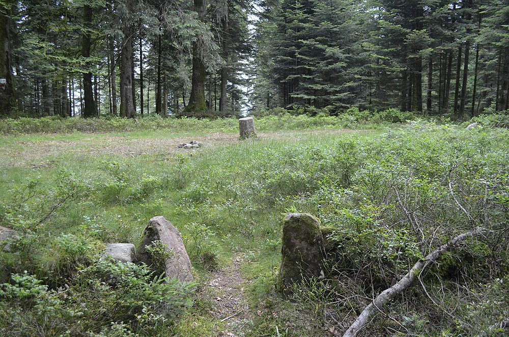Site in Alsace-Lorraine:Vosges (88) France

Due to the presence of weeds, the stone circle is almost unrecognizable.